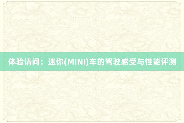 体验请问：迷你(MINI)车的驾驶感受与性能评测